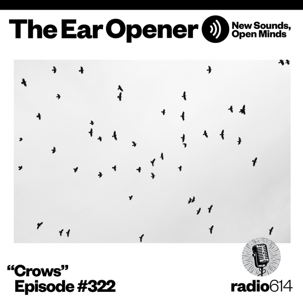 The Ear Opener - #322 Crows